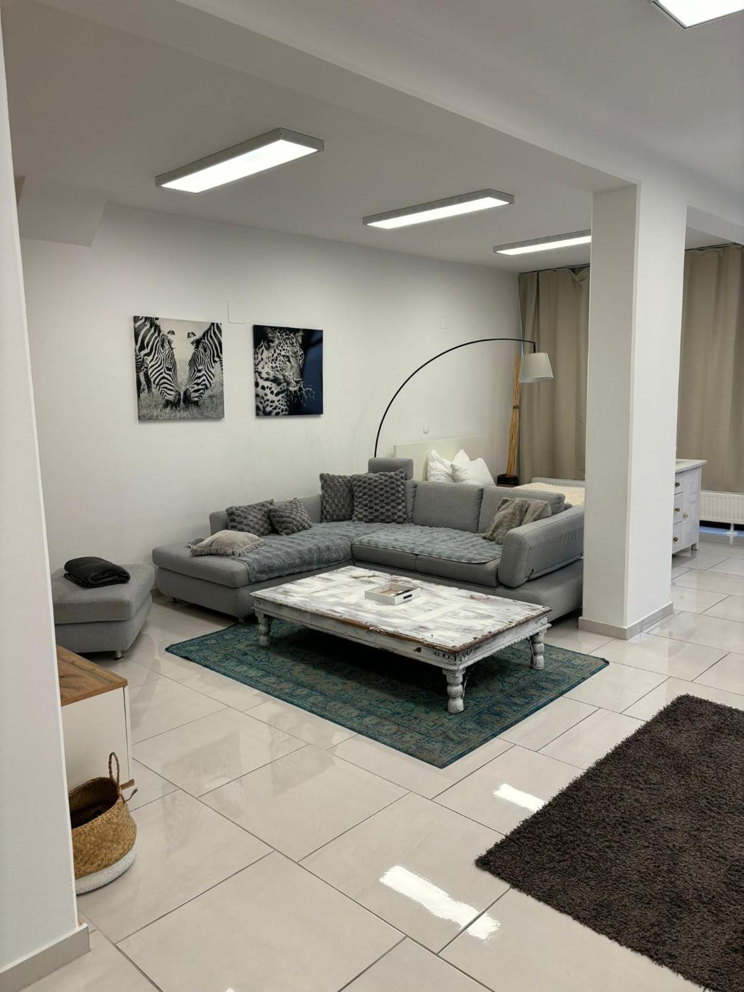 Stadtsuite Mit Sauna In Wiener Neustadt 135 M2 Exterior foto